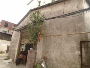 地铁施工房屋受损鉴定-广州市广深大道西房屋